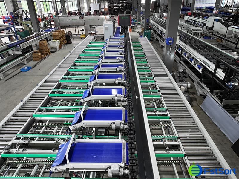 images/1750148891831AI for tomato grader.jpg